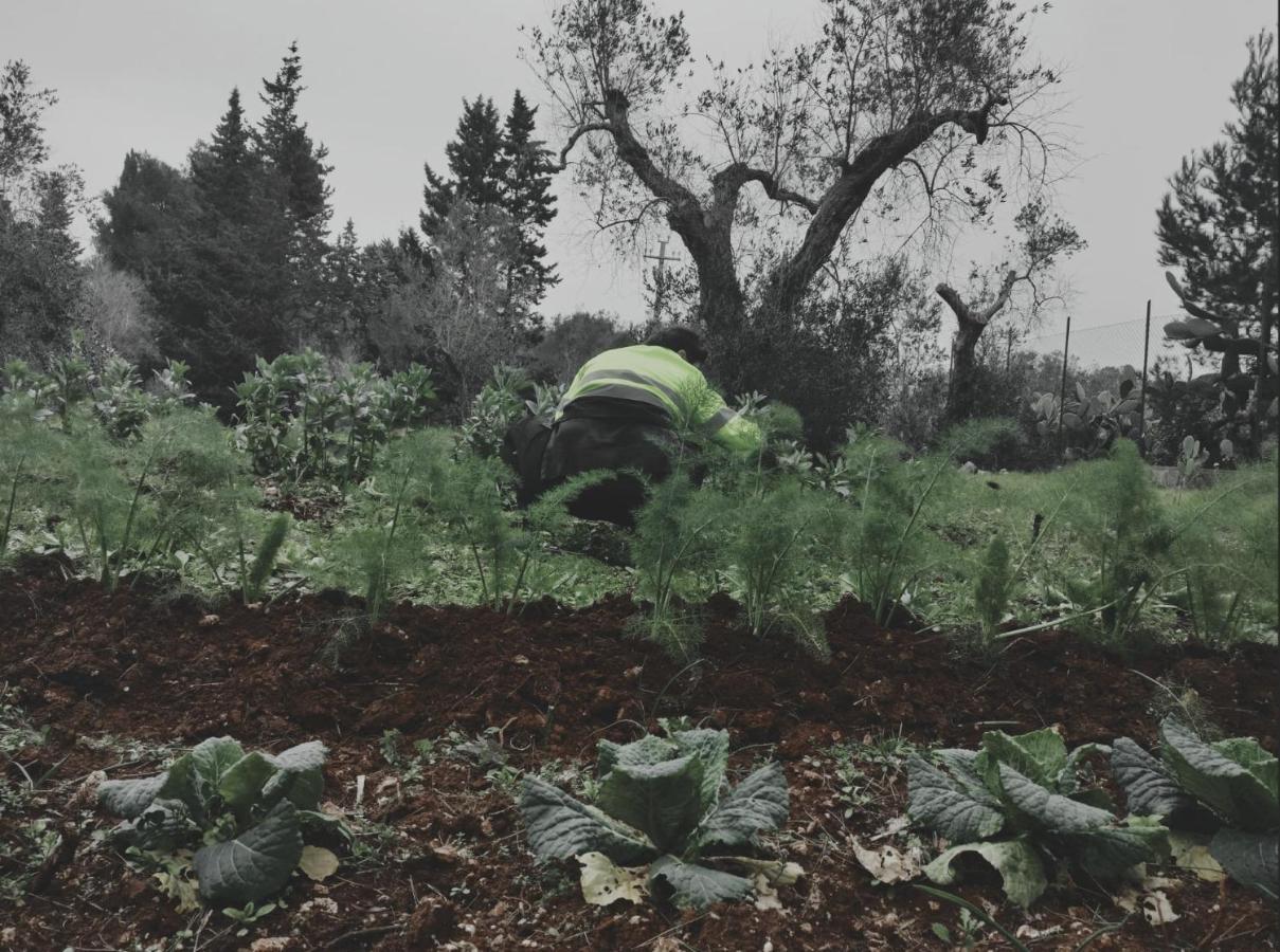 Salento Home Farm Bagnolo del Salento Ngoại thất bức ảnh