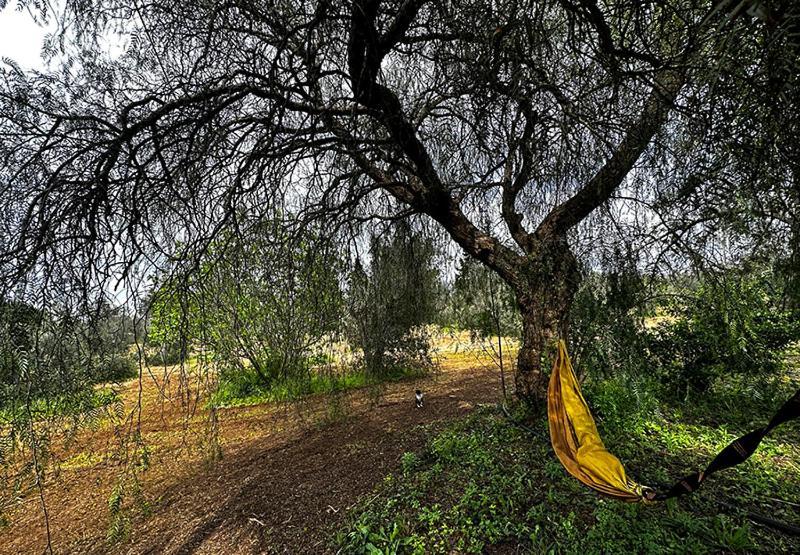 Salento Home Farm Bagnolo del Salento Ngoại thất bức ảnh